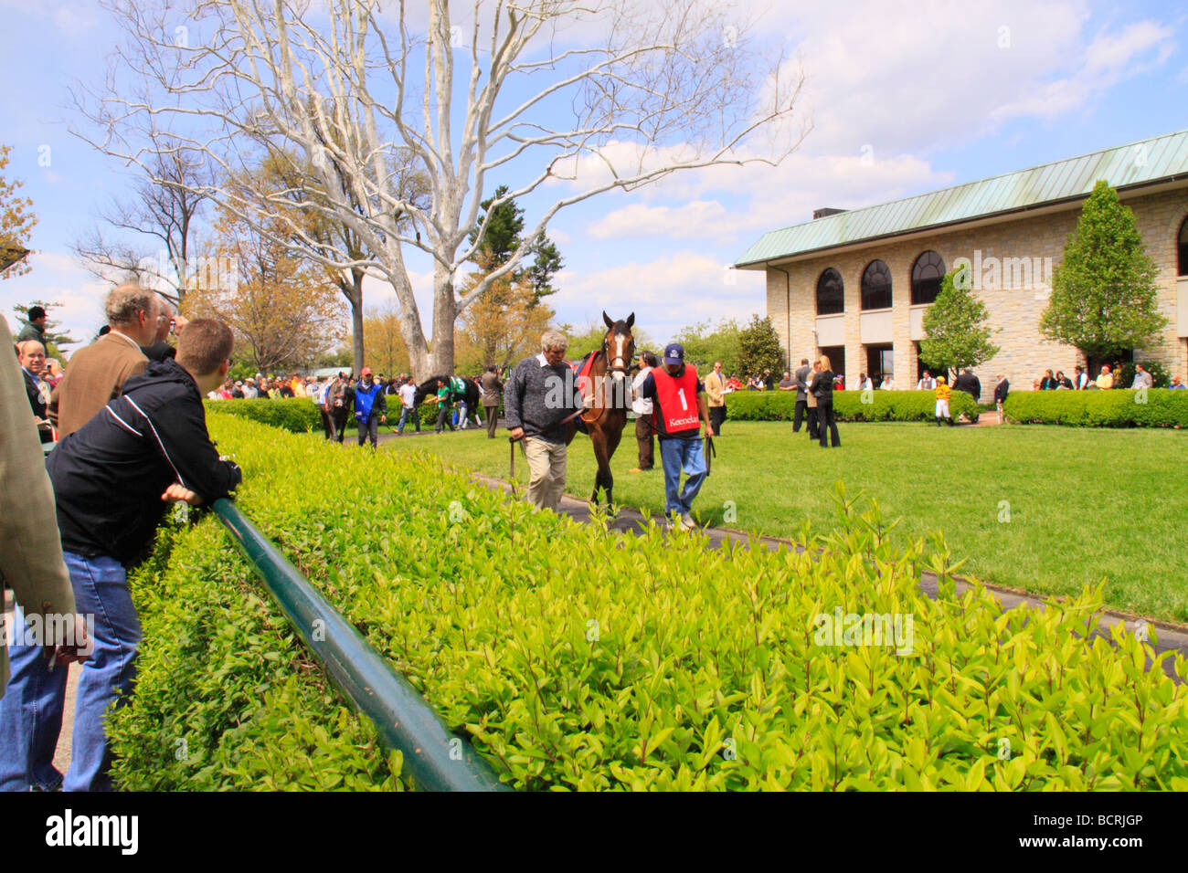 Thoroughbreds are walked in paddock before a race at Keeneland Race
