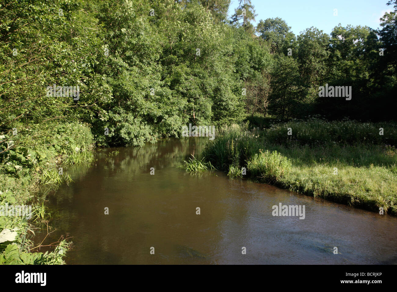 Dovedale Derbyshire UK July 2009 Stock Photo