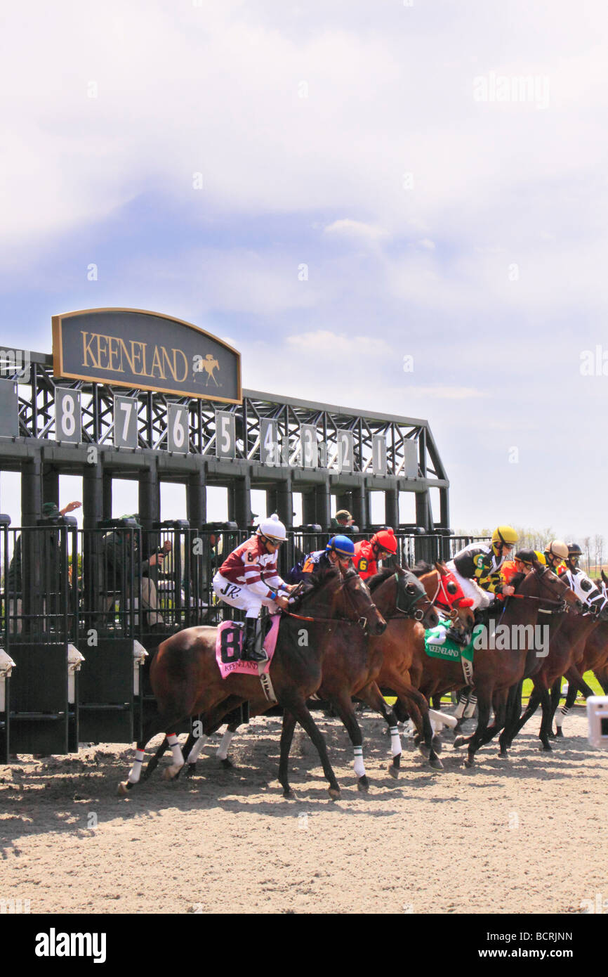 Starting Gate High Resolution Stock Photography And Images Alamy Starting Gate High Resolution Stock Photography And Images Alamy