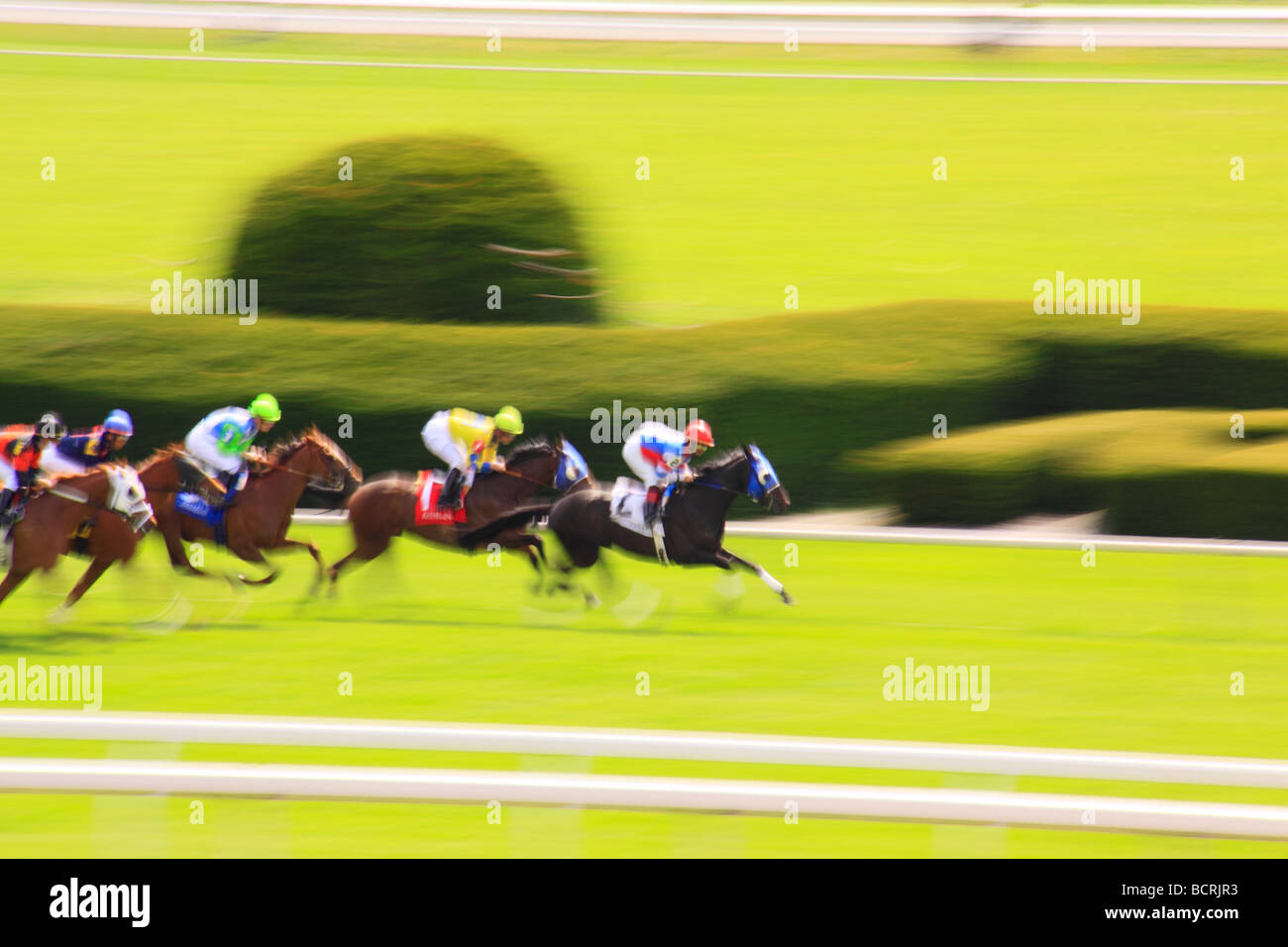 Horse race track finish hires stock photography and images Alamy