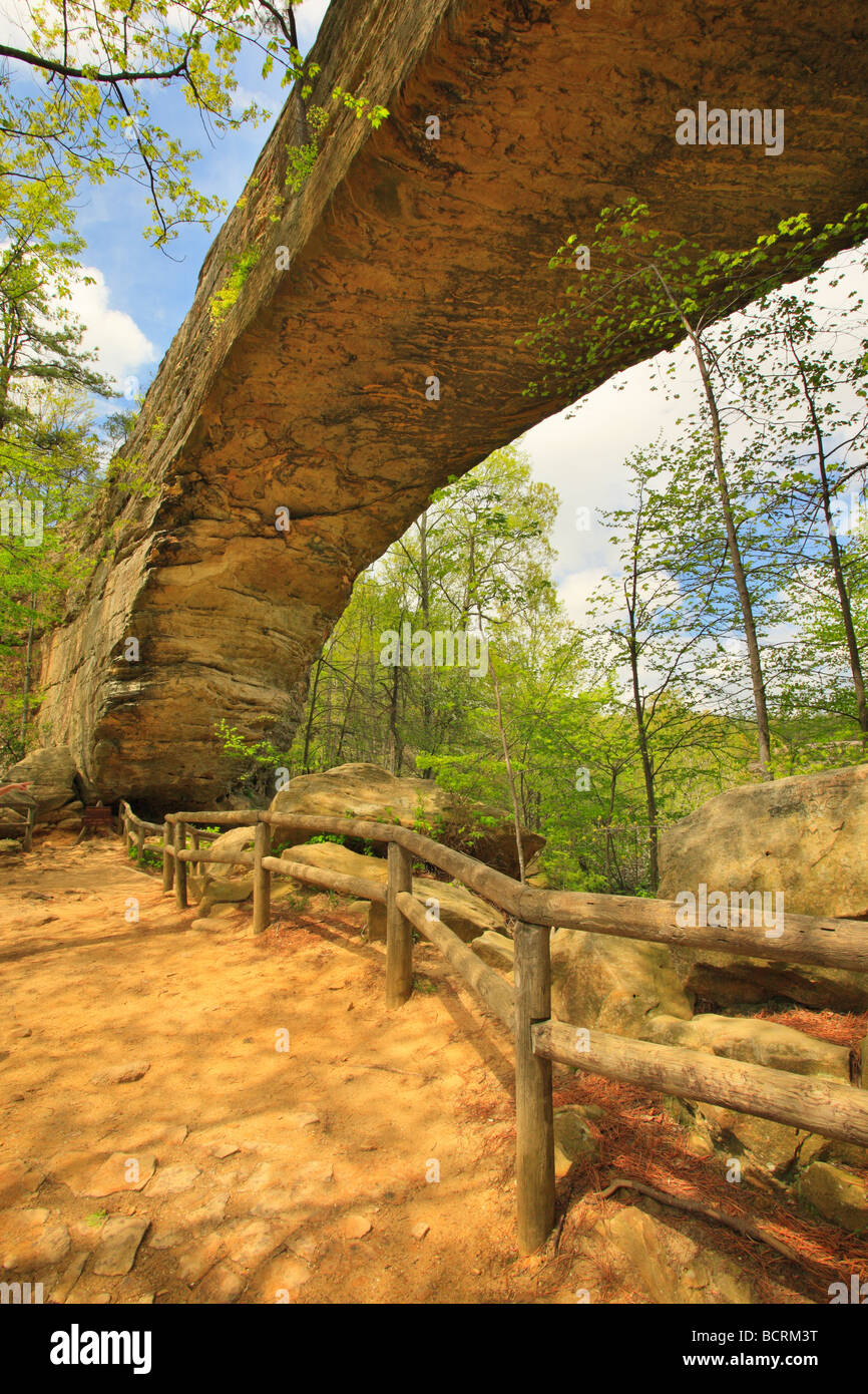Trail at bottom of the Natural Bridge Natural Bridge State Resort Park