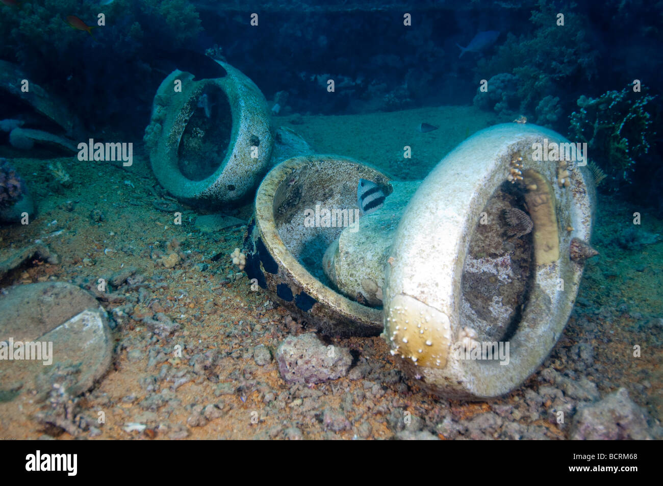 These commodes or toilets are part of the cargo that the Cypriot freighter 'Jolanda' was caring when it sank at Yolanda Reef. Stock Photo