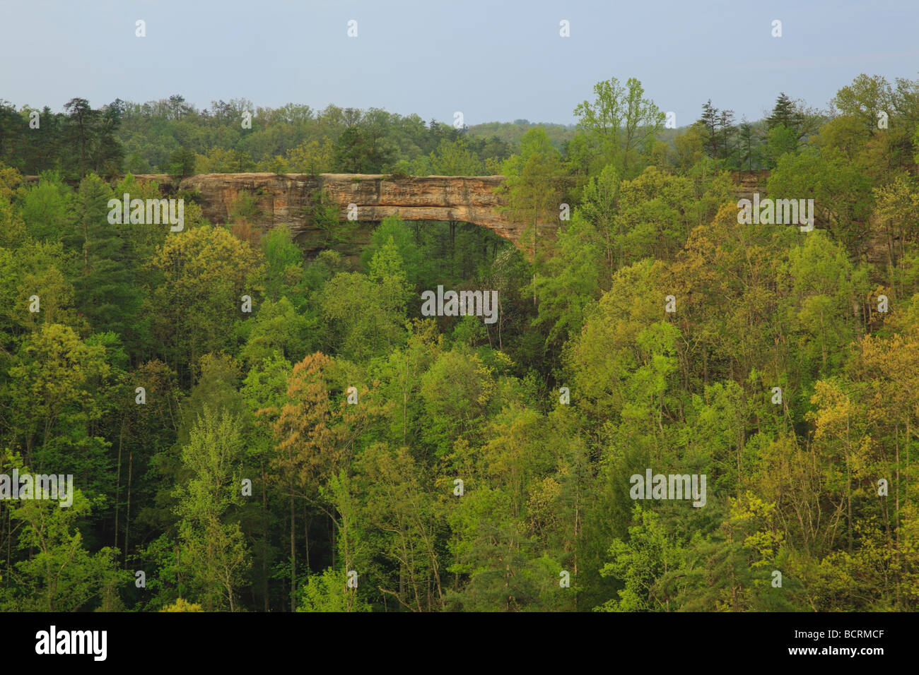View of the Natural Bridge from Lookout Point Natural Bridge State ...
