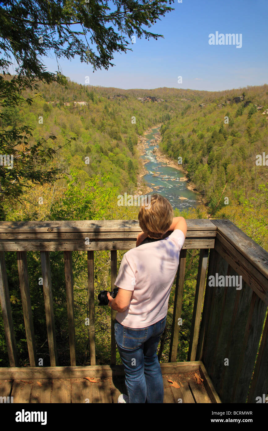 Honey creek area hires stock photography and images Alamy