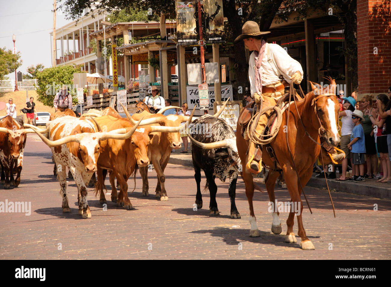 Cattle drive with cowboys at Stockyards in Fort Worth, Texas, USA Stock Photo Alamy