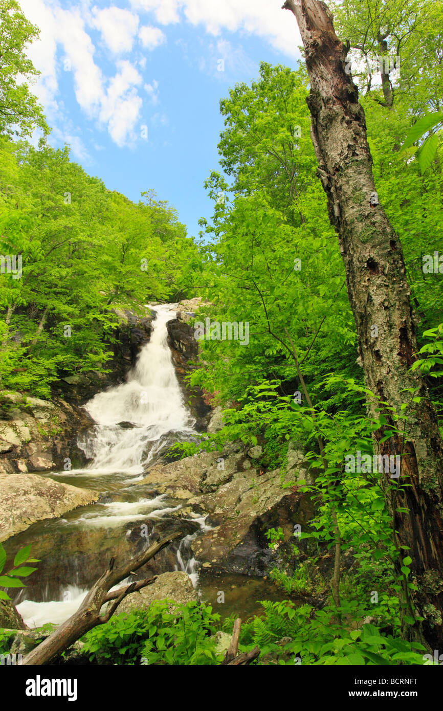 White Oak Canyon Falls Shenandoah National Park Virginia Stock Photo