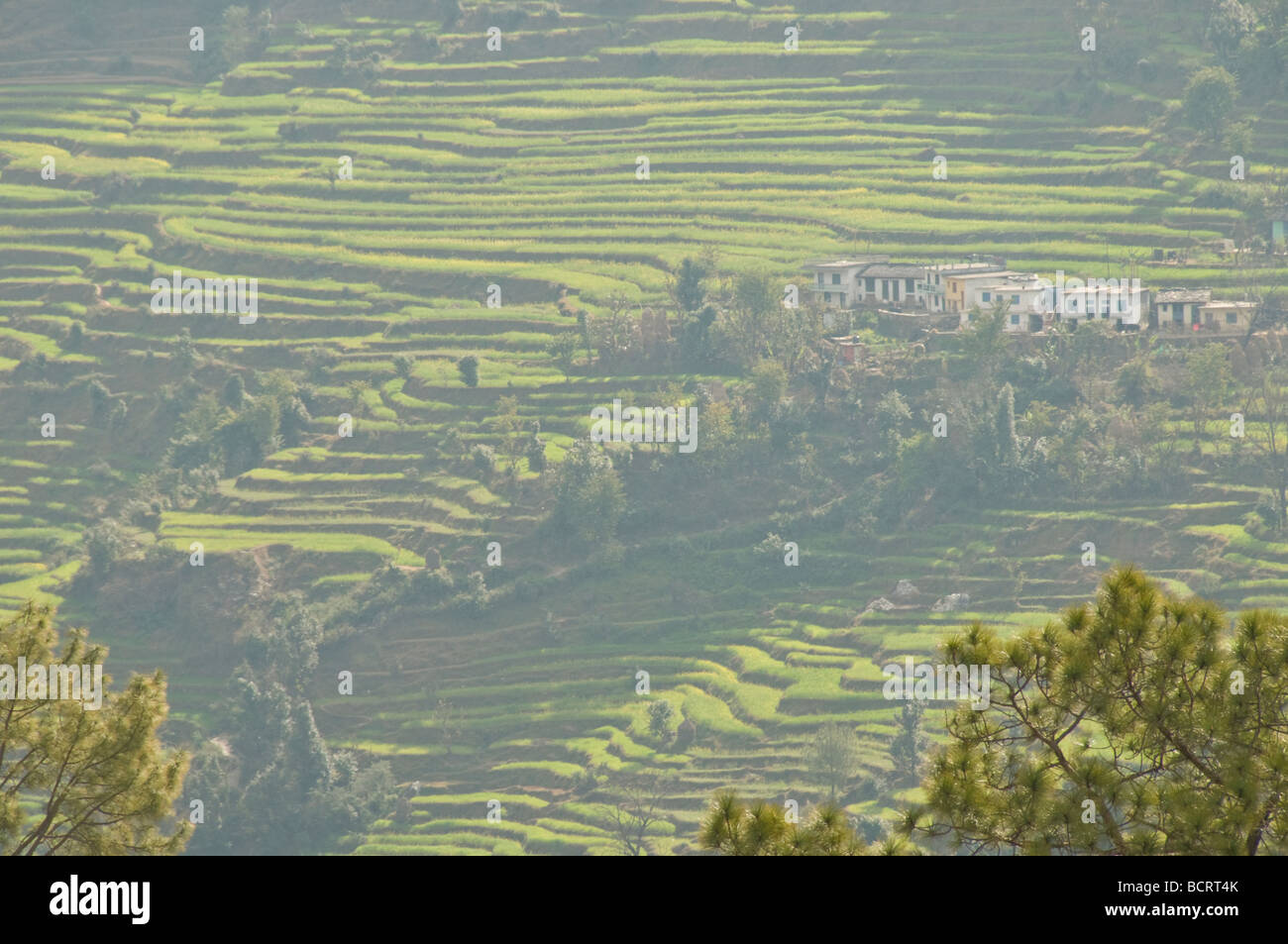 Views of the lower himalayas hi-res stock photography and images - Alamy