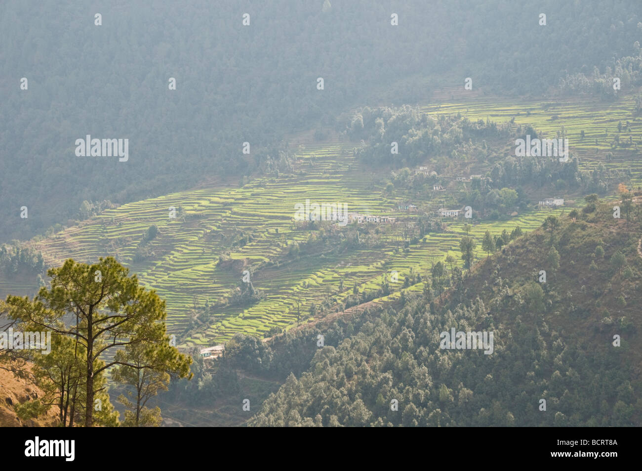 Views of the lower himalayas hi-res stock photography and images - Alamy