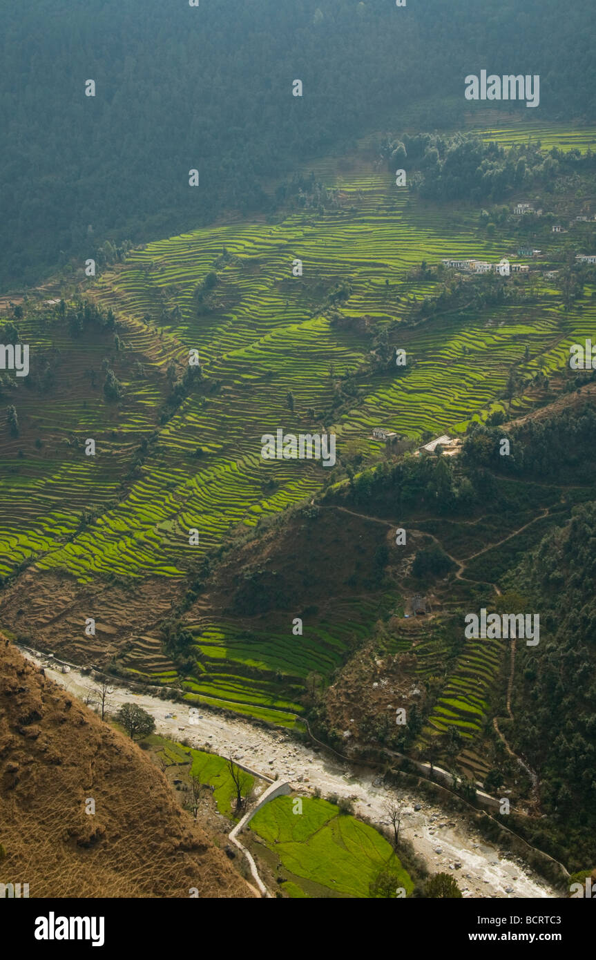 Views of the lower himalayas hi-res stock photography and images - Alamy