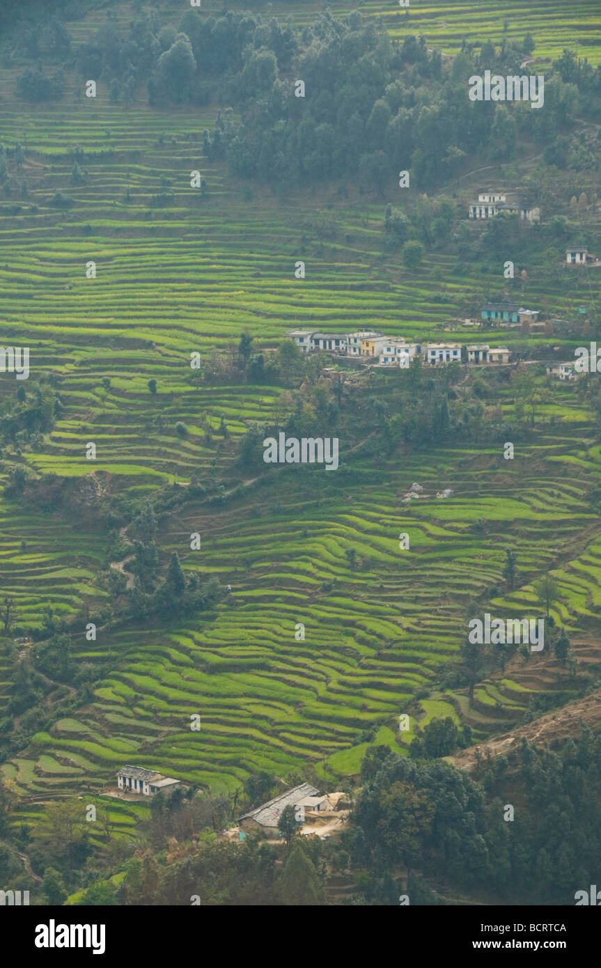 Views of the lower himalayas hi-res stock photography and images - Alamy
