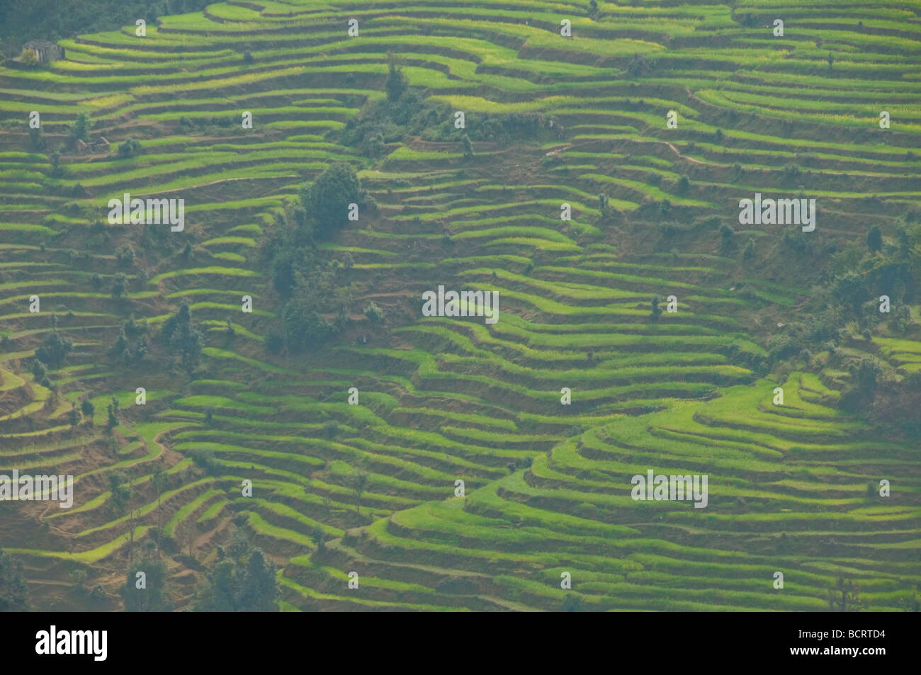 Views of the lower himalayas hi-res stock photography and images - Alamy