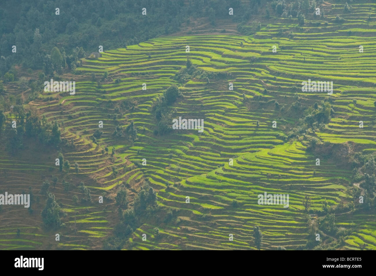 Views of the lower himalayas hi-res stock photography and images - Alamy