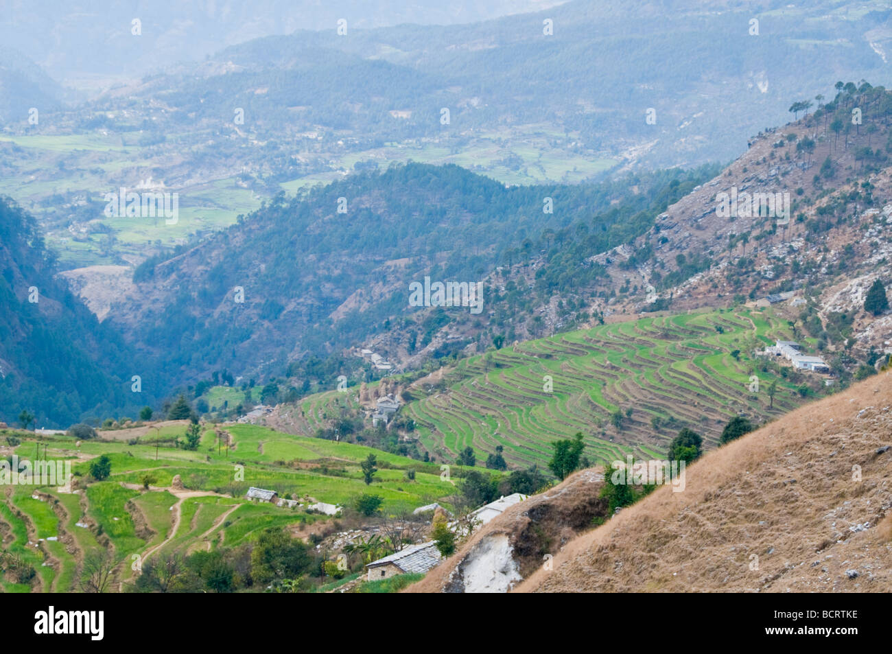 Views of the lower himalayas hi-res stock photography and images - Alamy