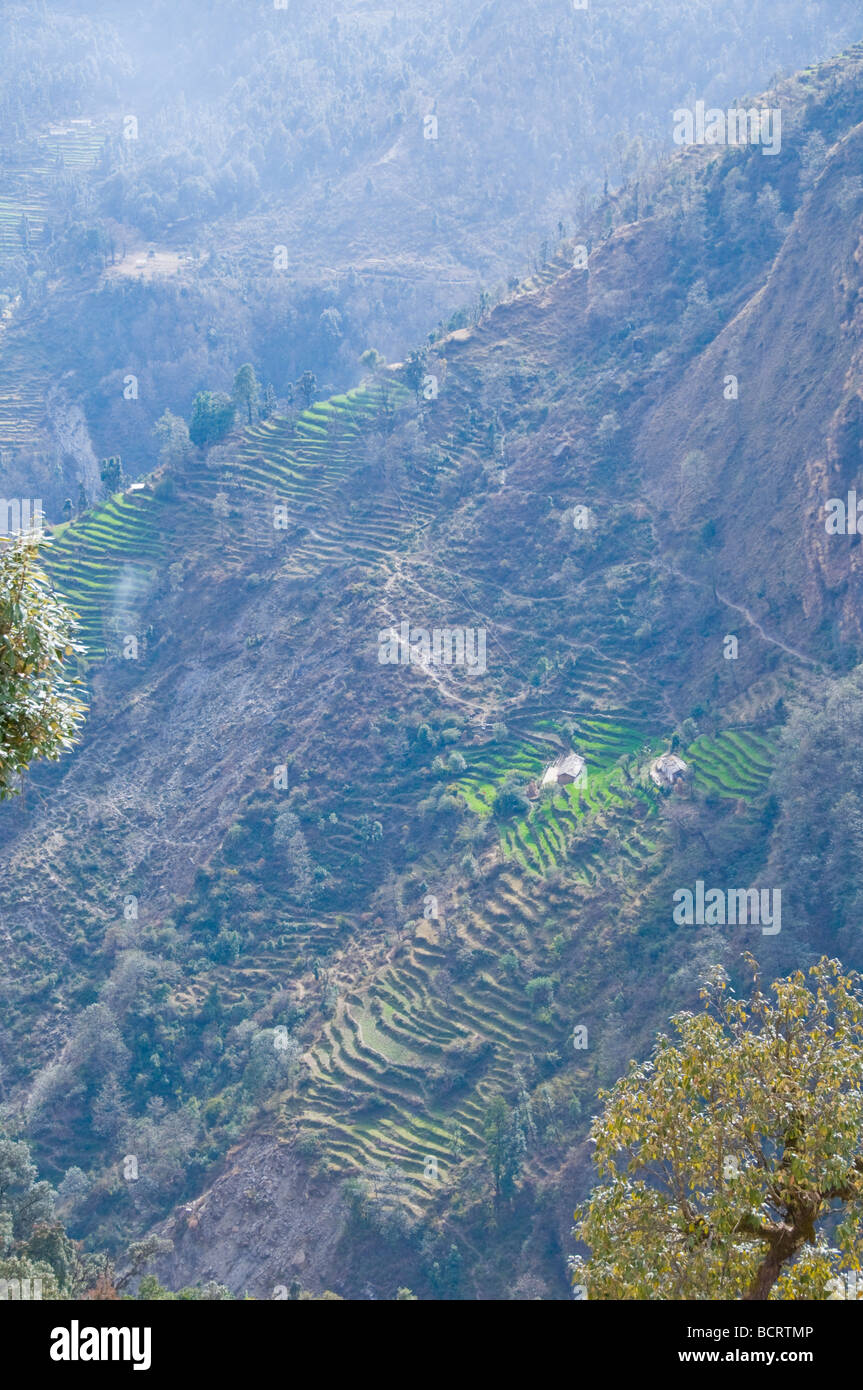 Views of lower himalayas hi-res stock photography and images - Alamy