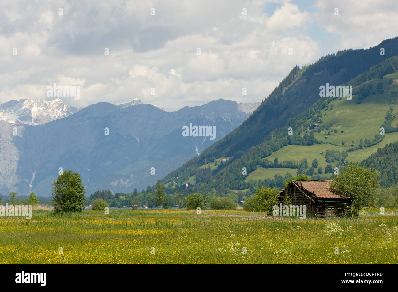 Traditional flower meadows and wood storage hut, Zell am See, Austria Stock Photo