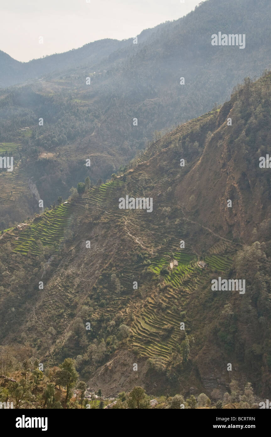 Views of the lower himalayas hi-res stock photography and images - Alamy