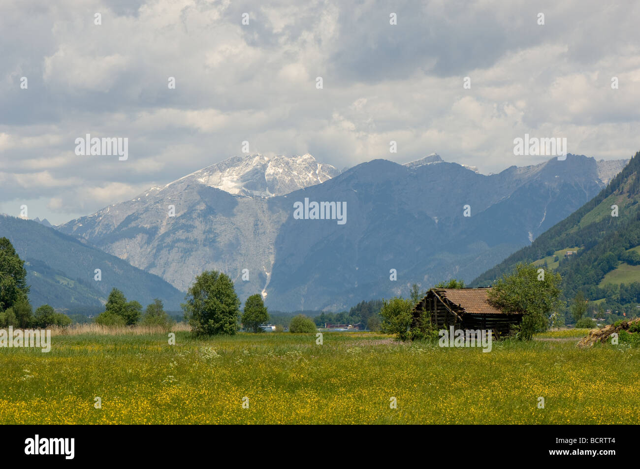 Traditional flower meadows and wood storage hut, Zell am See, Austria Stock Photo