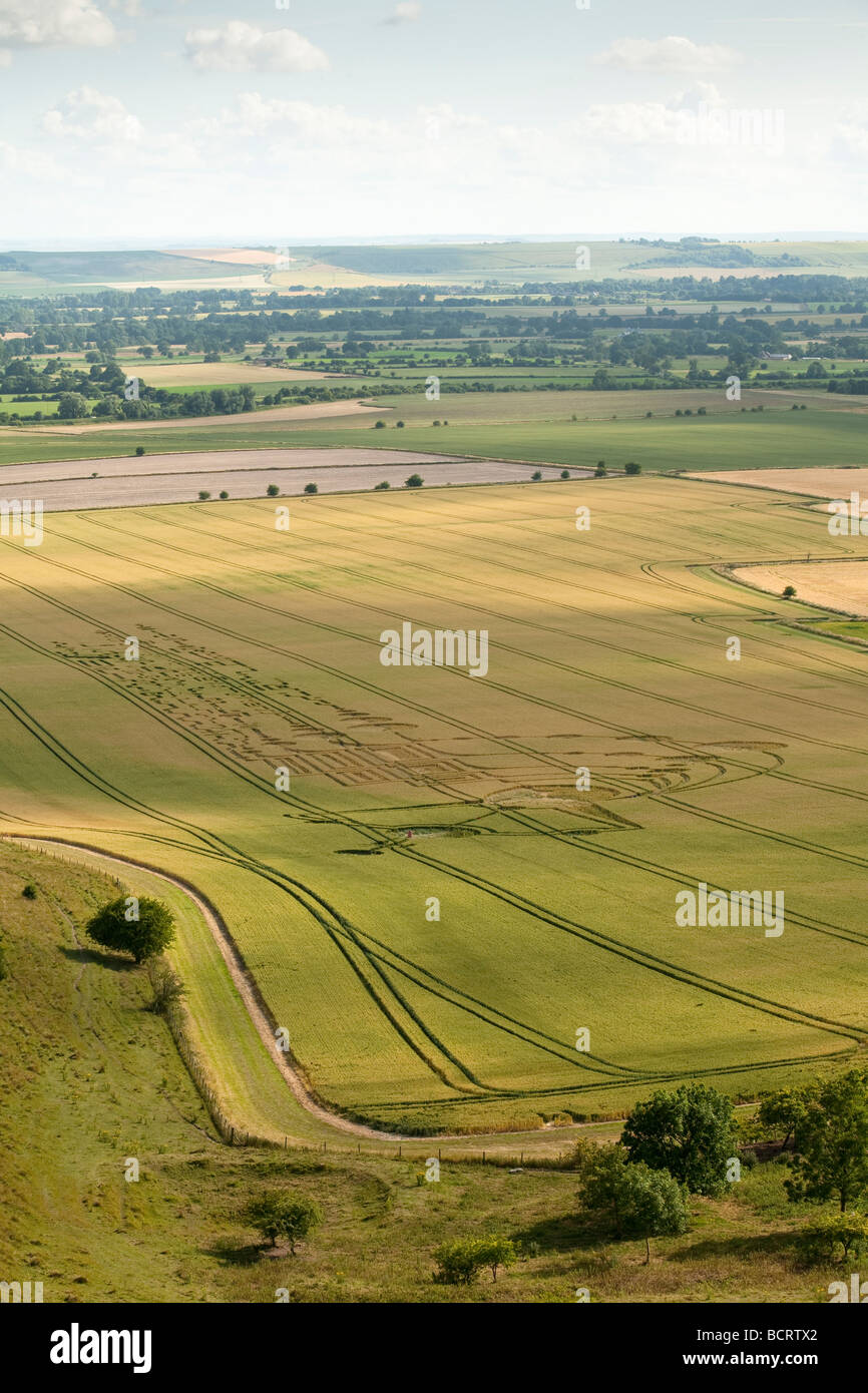 Crop circles near Milk Hill on the Pewsey Downs near Marlborough Wiltshire Uk Stock Photo