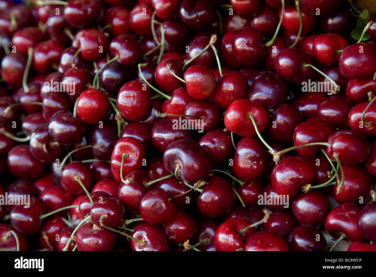 Cherries Stock Photo