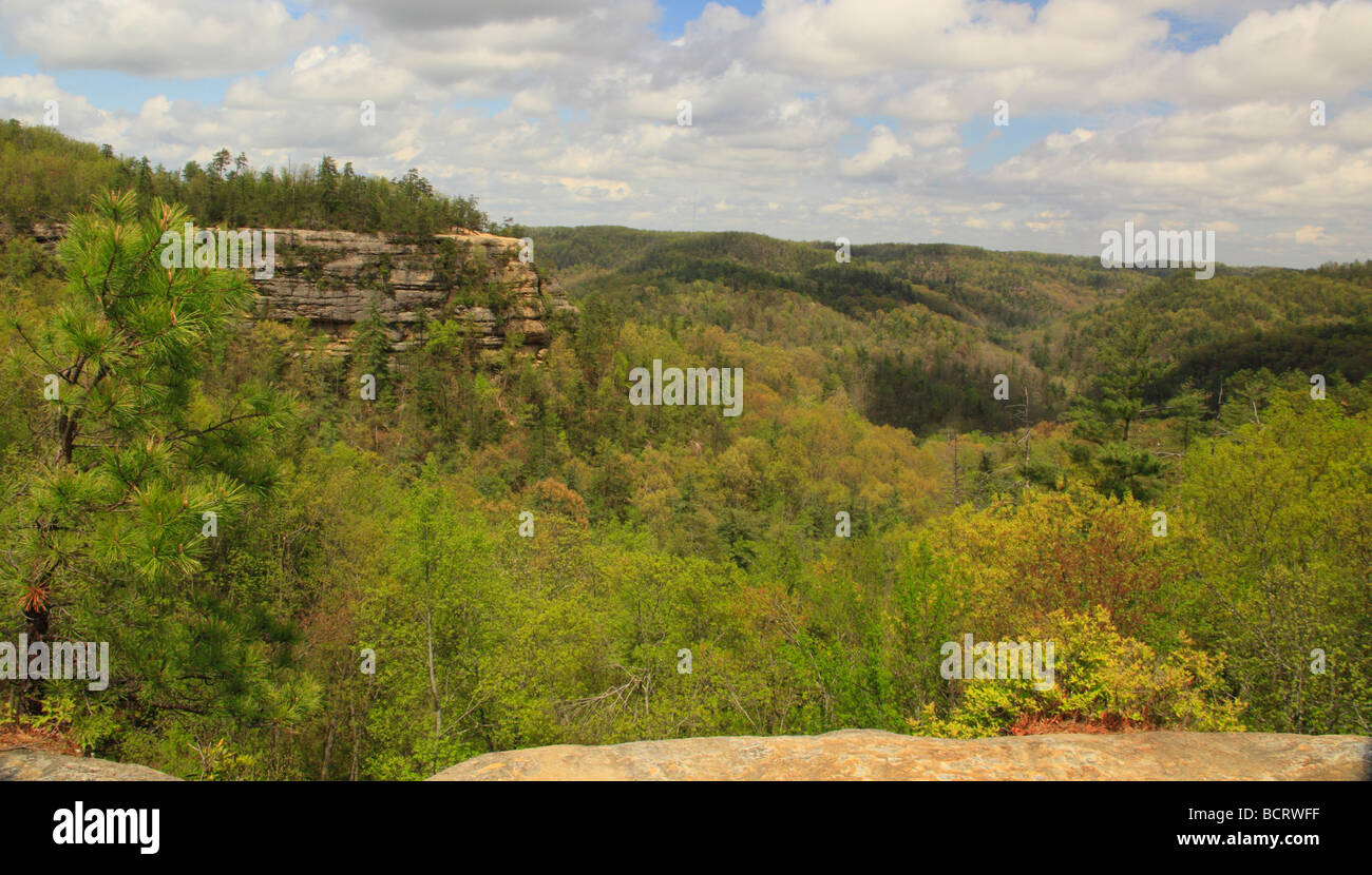 View from Lookout Point Natural Bridge State Resort Park Slade Kentucky Stock Photo