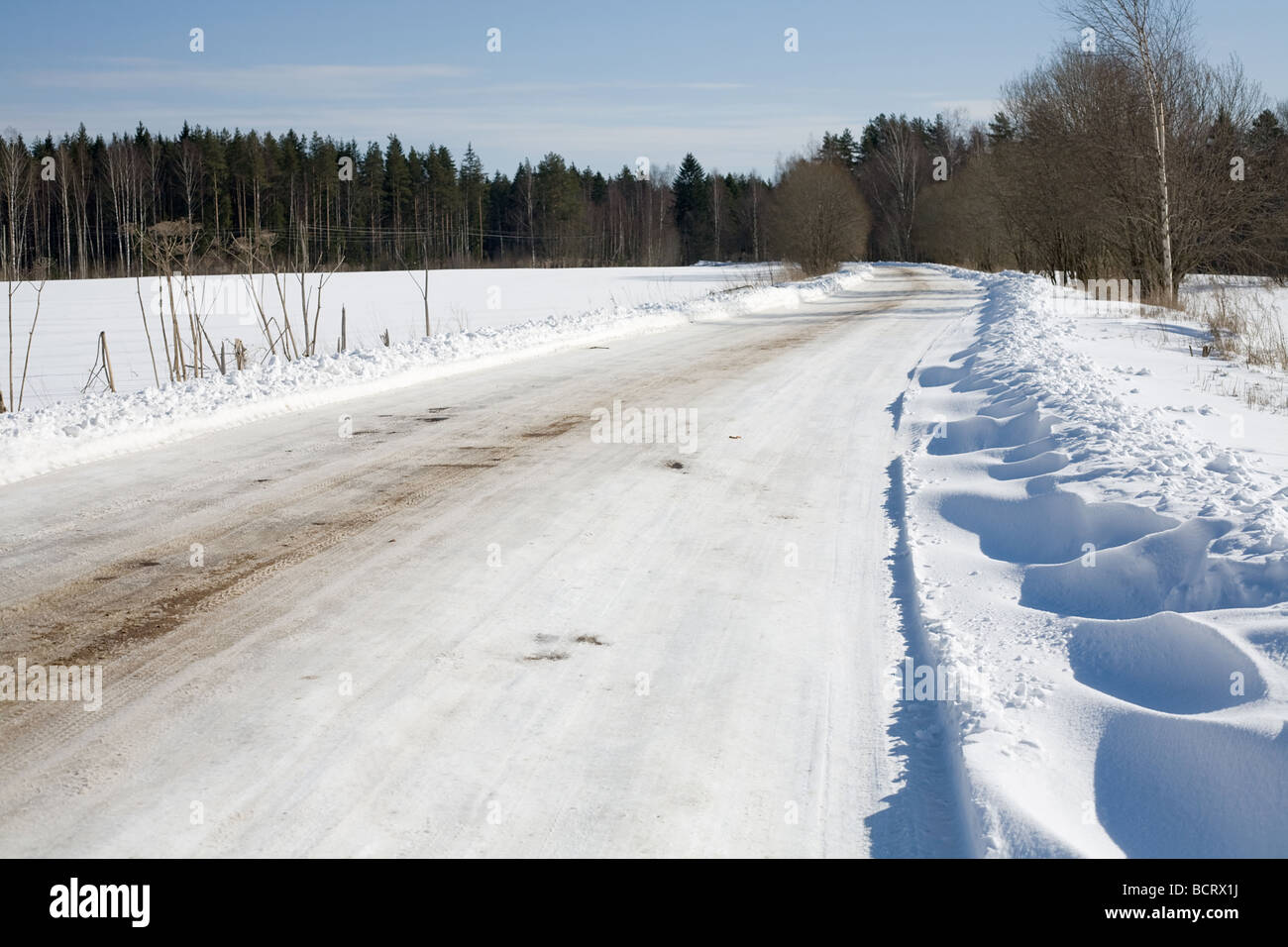 winter forest road in cold sunny day Stock Photo - Alamy