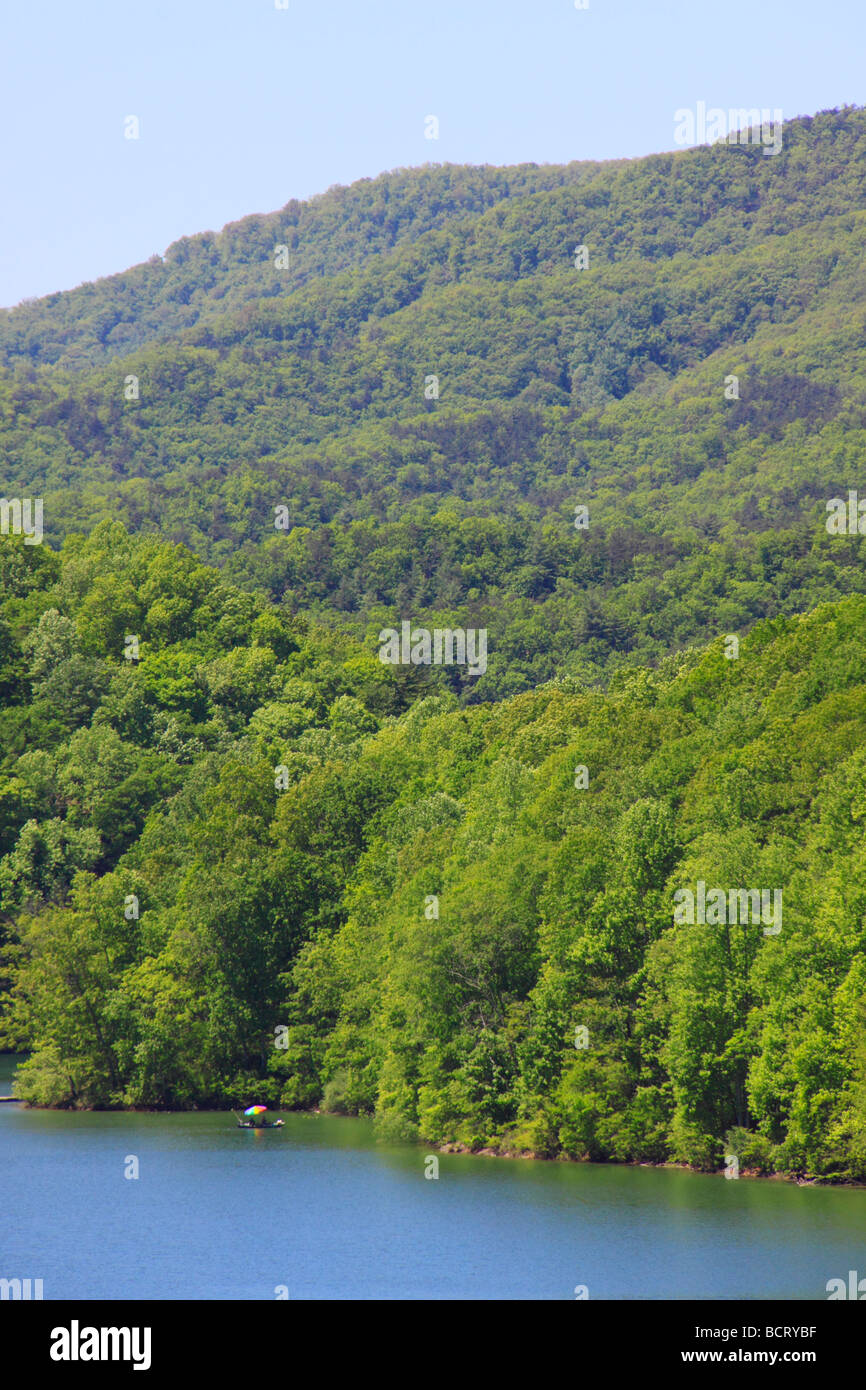 Boat on Lake Moomaw Covington Virginia Stock Photo Alamy