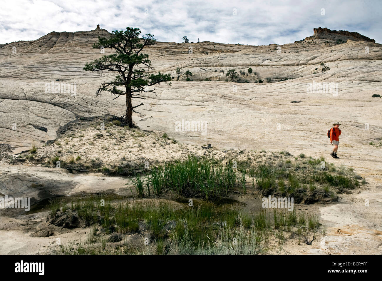 Hiker in the Grand Staircase Escalante National Monument passing by a pool of water Utah Stock Photo