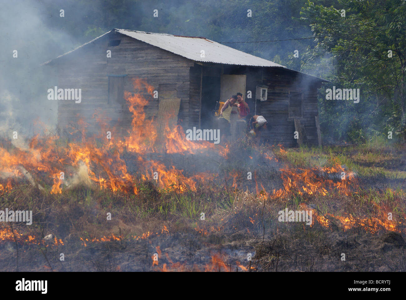 Open burning for rice cultivation Stock Photo Alamy