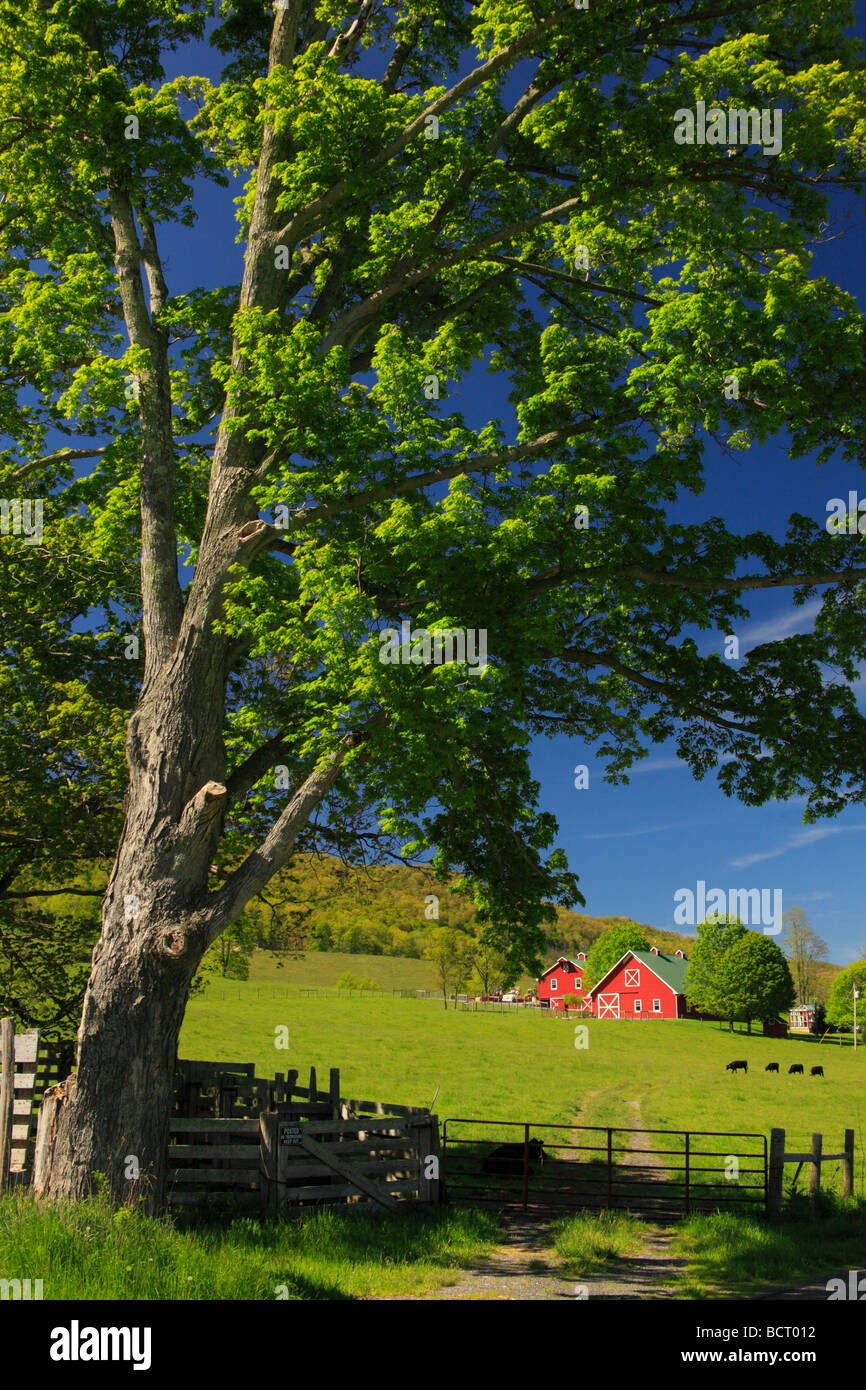 Farm in western Highland County Virginia Stock Photo Alamy