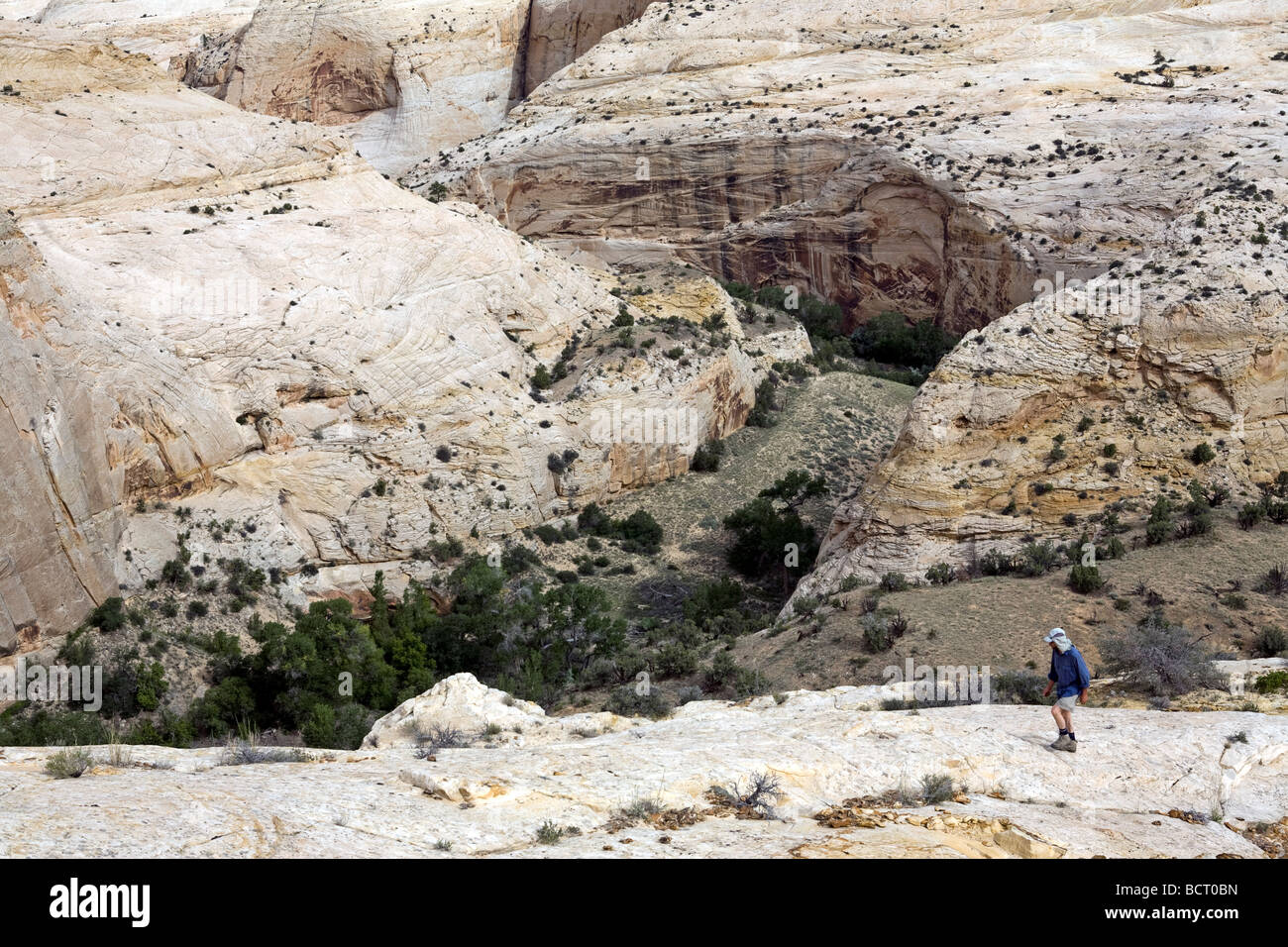 Hiker in the Grand Staircase Escalante National Monument Utah with the Escalante River Canyon in the background Stock Photo