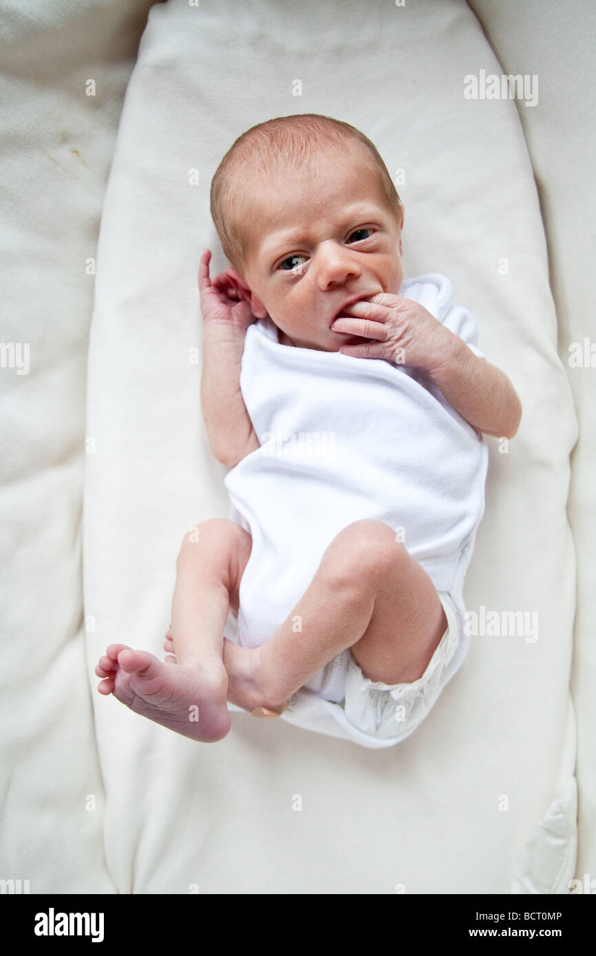 Newborn baby boy in his cot, London, England Stock Photo Alamy