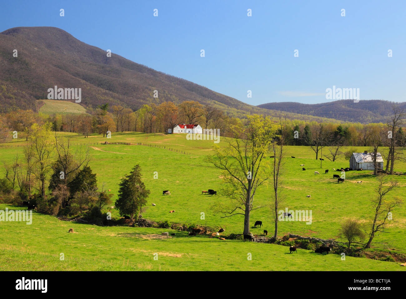 Farm in Massies Mill Nelson County Virginia Stock Photo Alamy