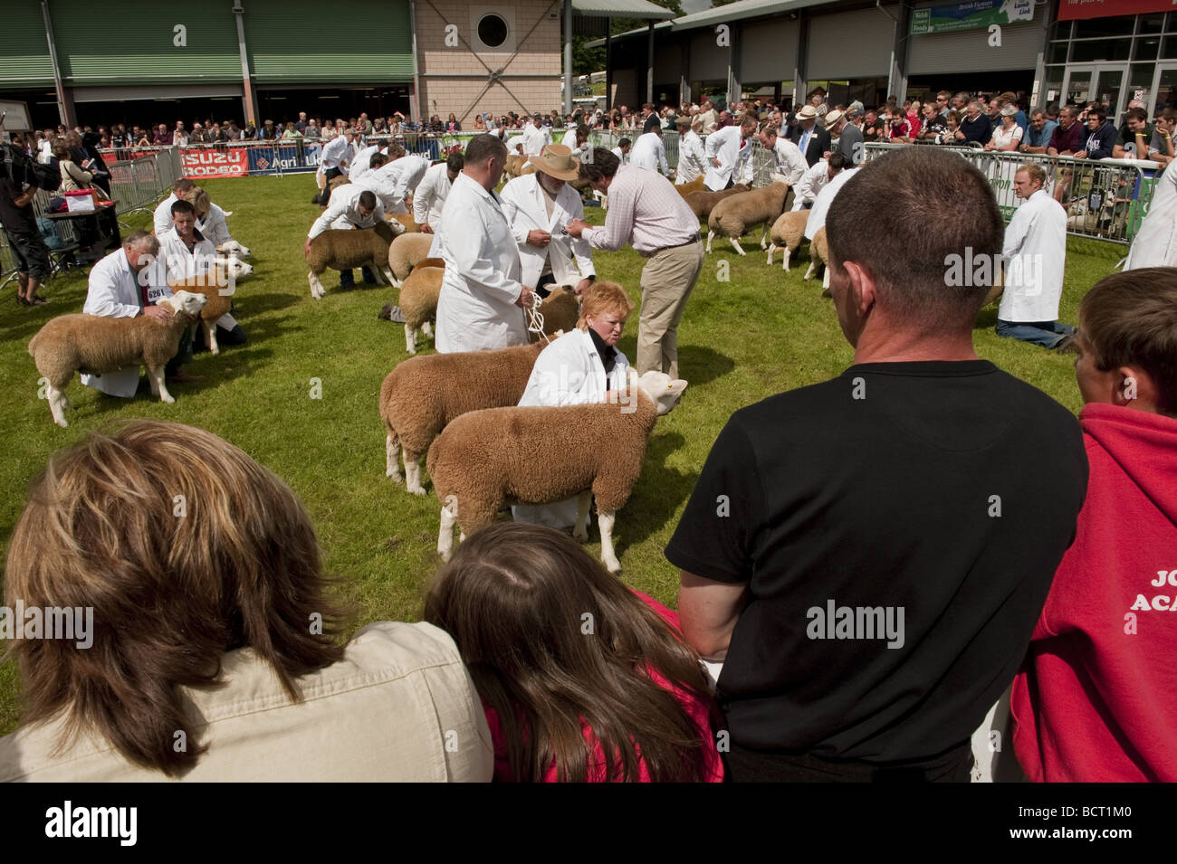 Crowds of spectators watching the judging of livestock in an outdoor