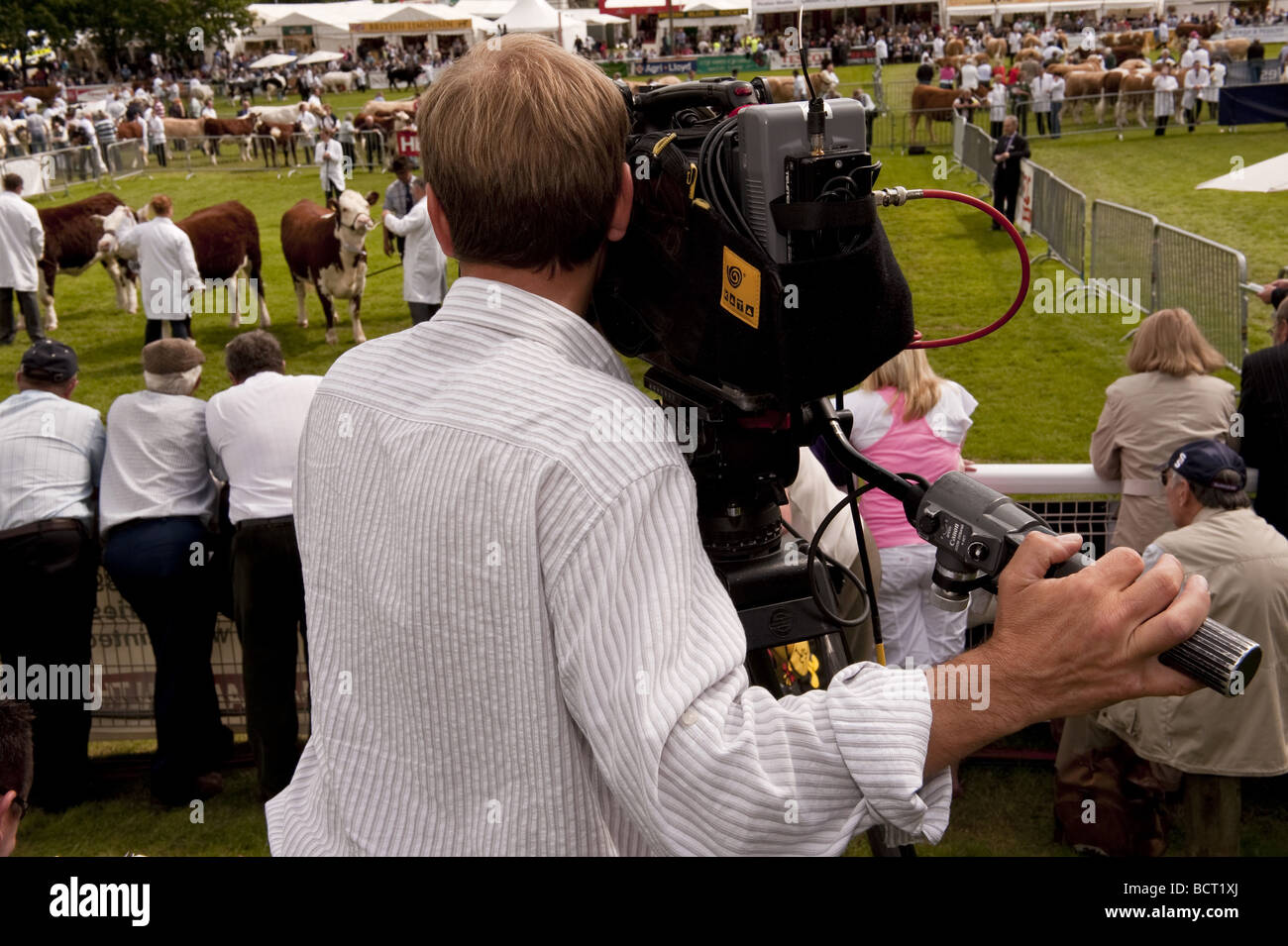 Digital video cameraman & film crew recording judging in the cattle rings at an outdoor agricultural show event for television. Stock Photo