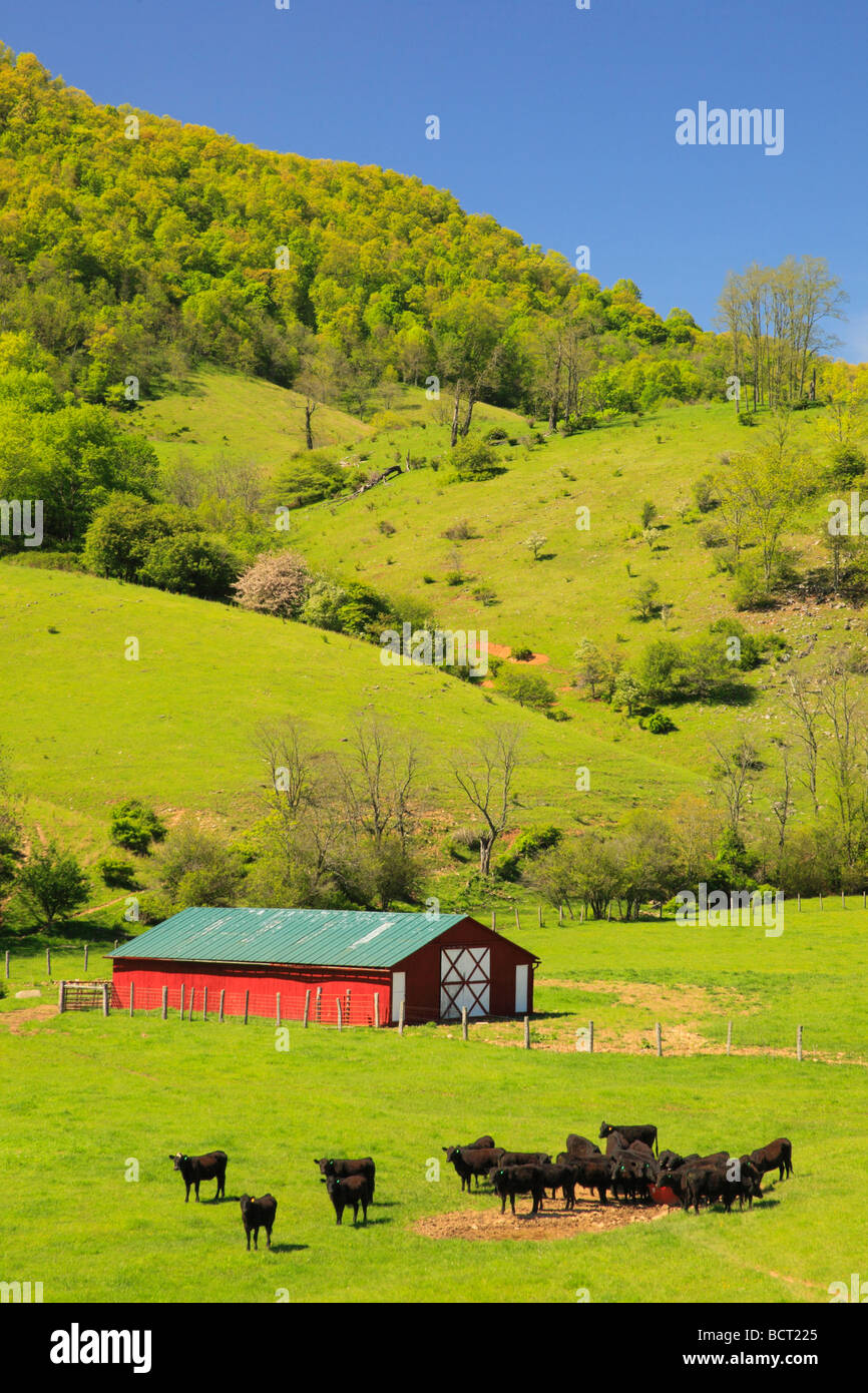 Farm in Western Highland County Virginia Stock Photo Alamy