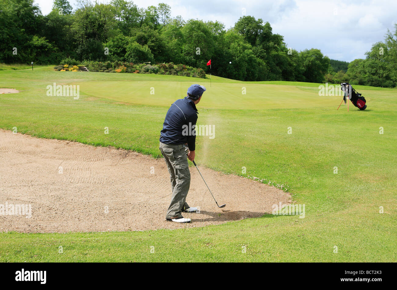 Golfer chipping out of bunker onto green Stock Photo