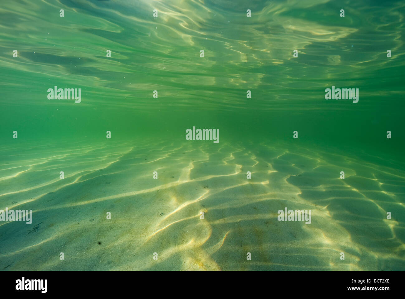peaceful underwater view of the ocean Stock Photo