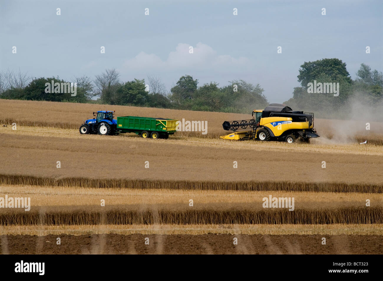 Farm Farmer Farming Agriculture Barley Suffolk Britain Harvest combine New Holland Stock Photo