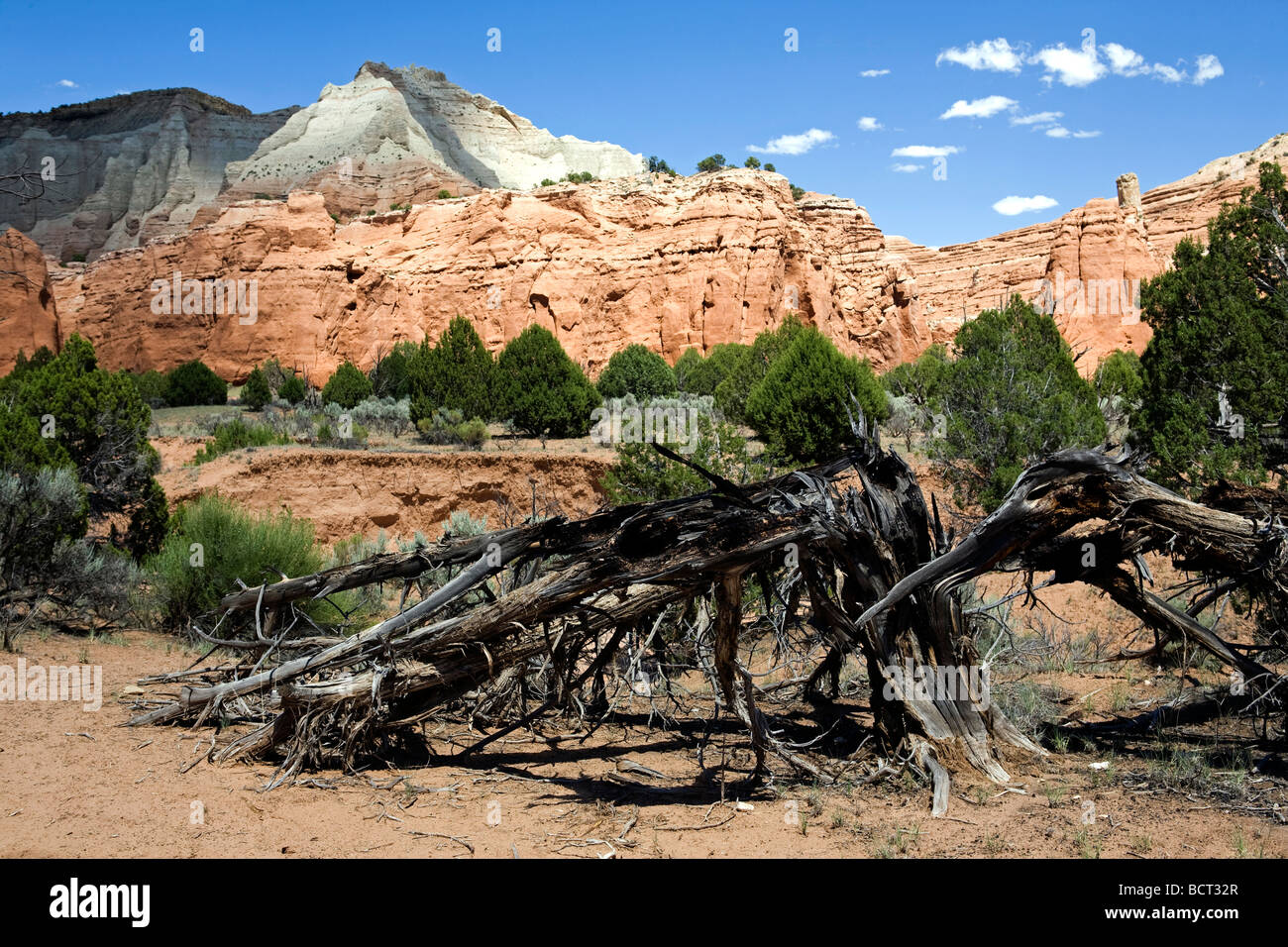 Kodachrome Basin State park, Utah in the Grand Staircase Escalante National Monument area Stock Photo