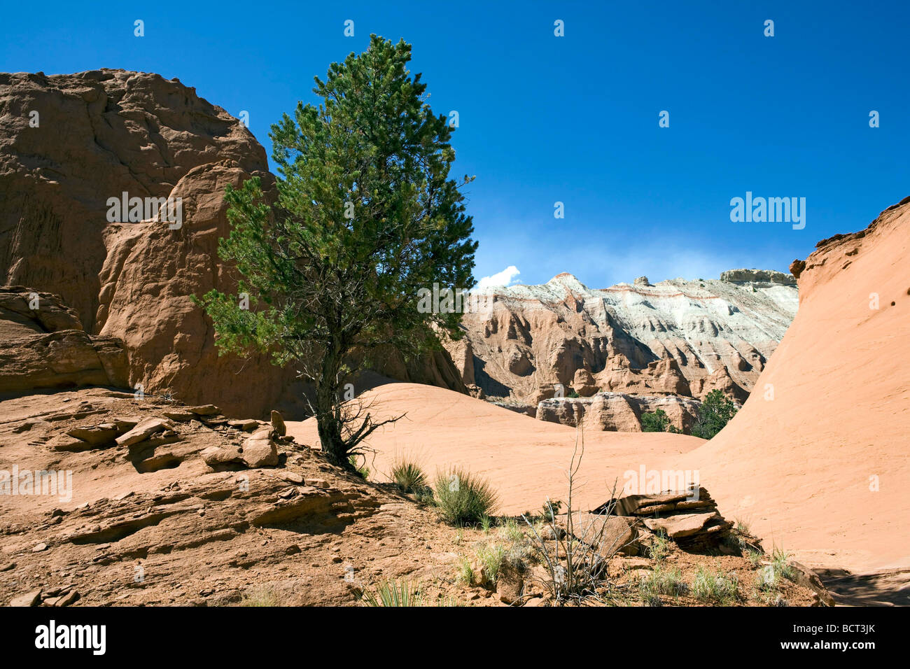 Kodachrome Basin State park, Utah in the Grand Staircase Escalante National Monument area Stock Photo