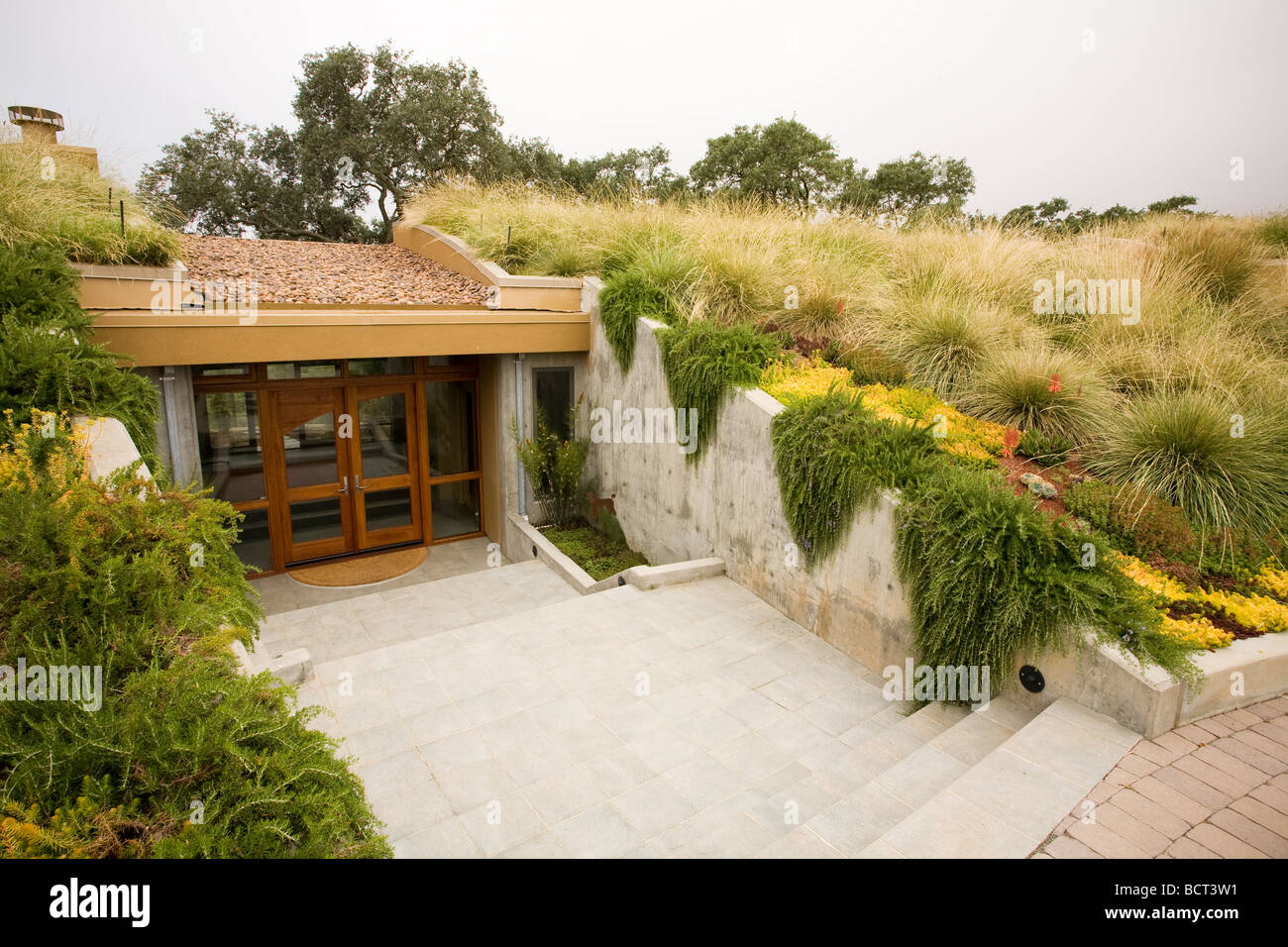 Front entry into California hillside home with grass meadow green roof garden Stock Photo