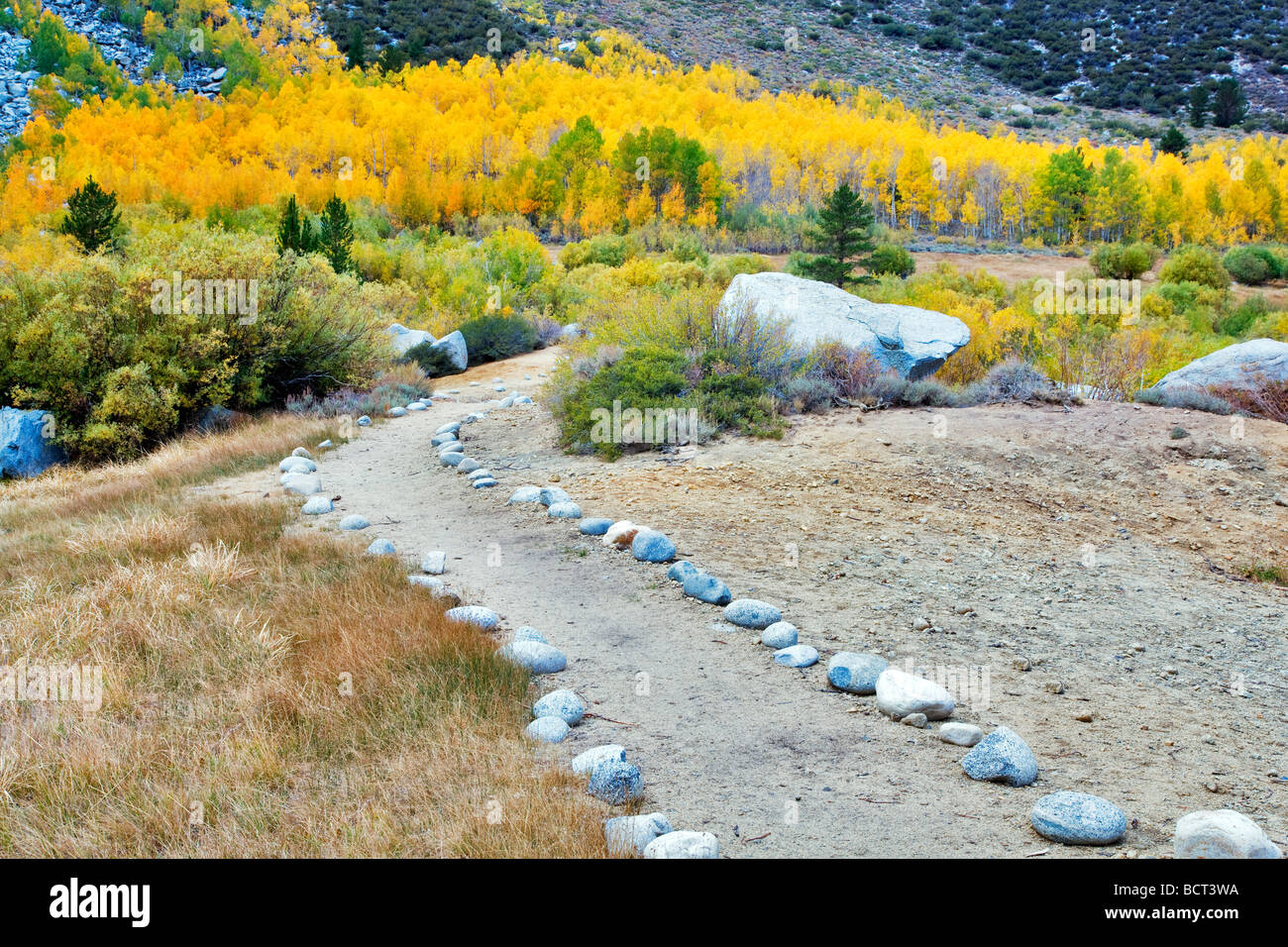 Rock path with fall colored aspens Inyo National Forest Eastern Sierras California Stock Photo