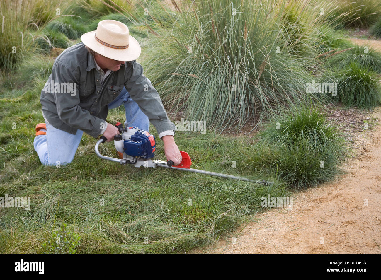 Cutting back grasses hires stock photography and images Alamy