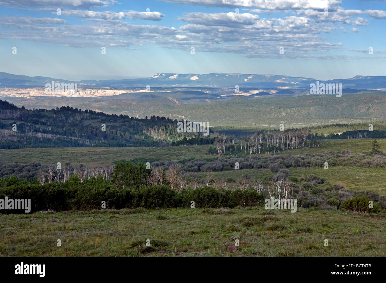 Dixie National Forest in the Grand Staircase Escalante National Monument, Utah. Stock Photo