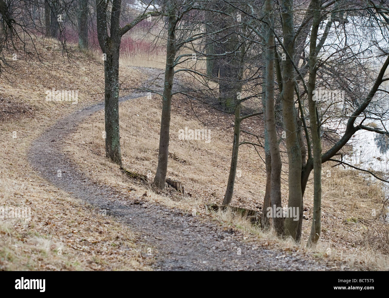 autumnal path in the park Stock Photo - Alamy