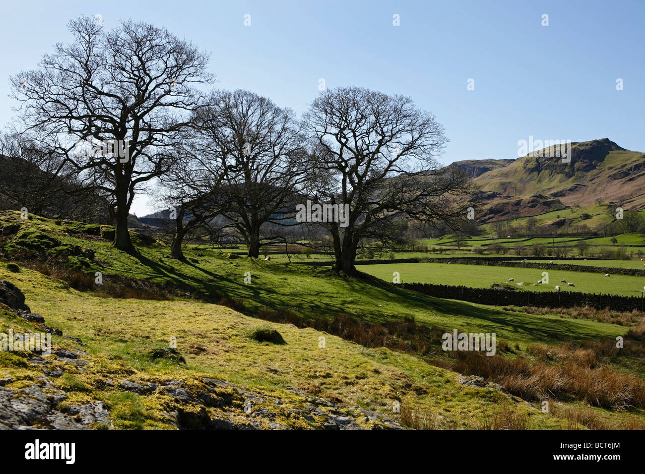 A Lakeland view Stock Photo Alamy