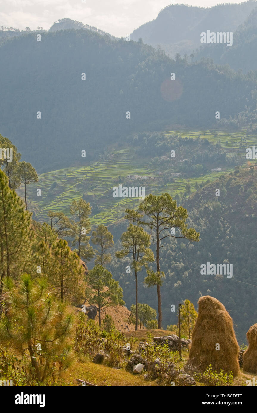 Views of the lower himalayas hi-res stock photography and images - Alamy