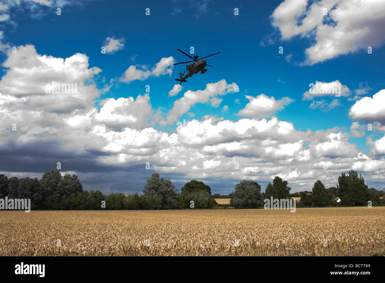 Apache Helicopter Army Air Corps Attack British training Wattisham Boeing AH 64D wheat fields low flying low Suffolk Essex shoo Stock Photo