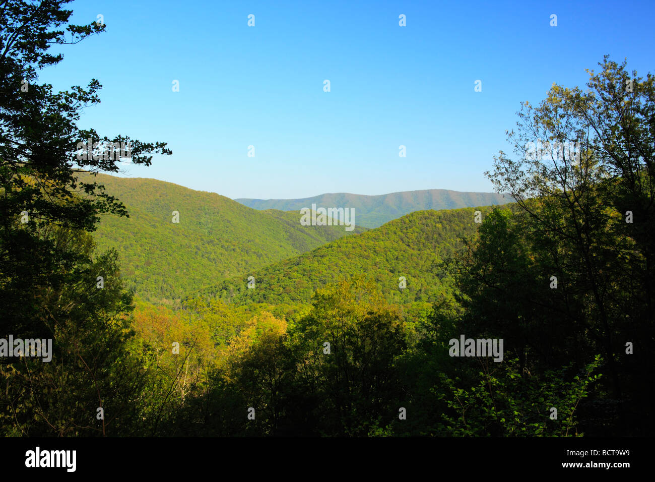 View from Shenandoah Mountain Trail Shenandoah Mountain West Augusta Virginia Stock Photo