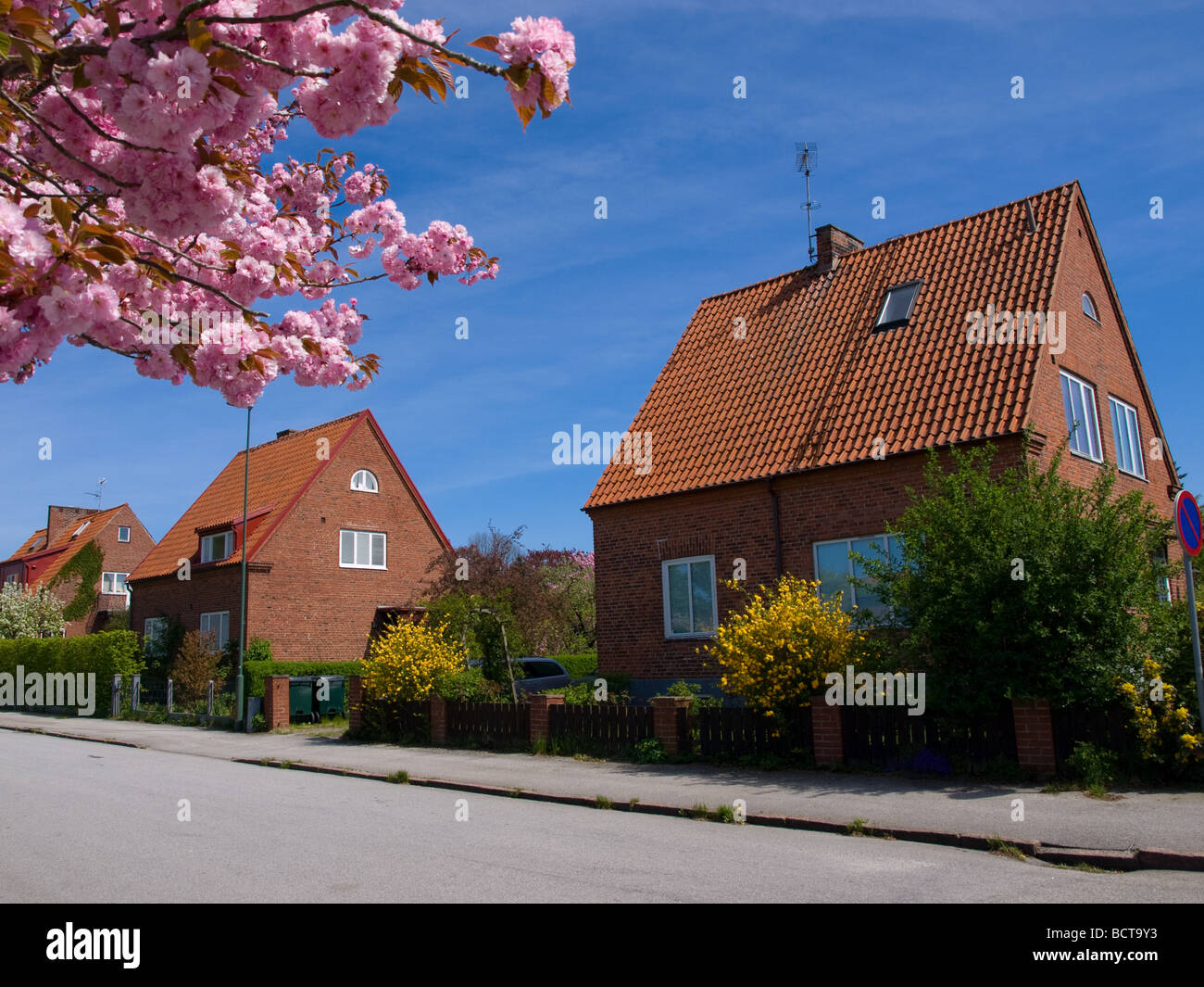 Cherry blossoms adorn the streets of Lund, Sweden in spring. Stock Photo